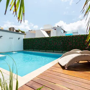 studio-501-en-edificio-vanessa-42-a-5-min-de-la-5ta-y-playa.allrivieramayahotels.com/